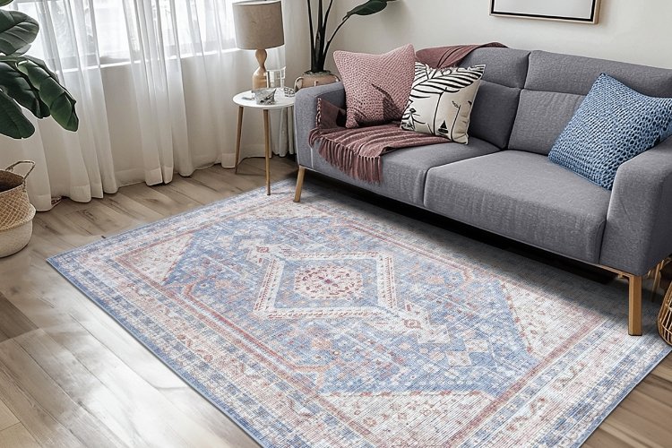 Colorful washable rug in a living room