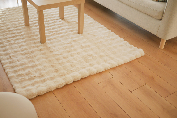 Cozy living room with washable rug and table